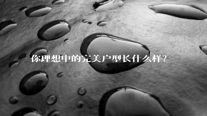你理想中的完美户型长什么样？