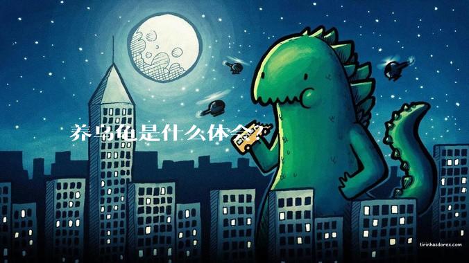 养乌龟是什么体会？